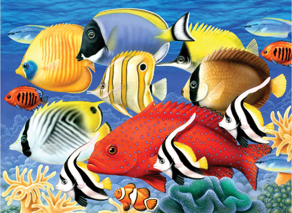 Pittura per numeri formato A3 - Pesce tropicale